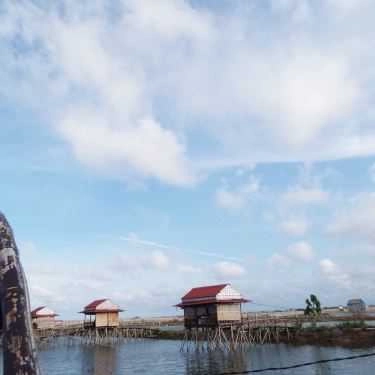 Tổng hợp- Nhà Hàng Thủy Triều Quán - Hải Sản Tươi Sống