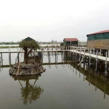 Tổng hợp- Nhà Hàng Thủy Triều Quán - Hải Sản Tươi Sống