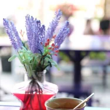 Tổng hợp- Cafe Tím Kafe