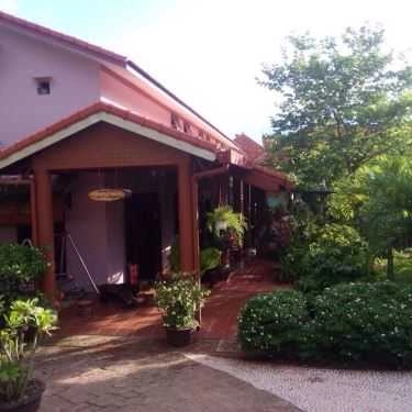 Tổng hợp- Cafe Tịnh Trúc Gia Tea House