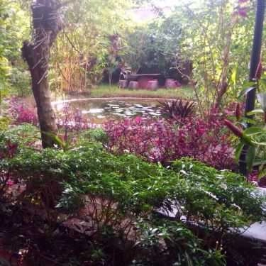 Tổng hợp- Cafe Tịnh Trúc Gia Tea House