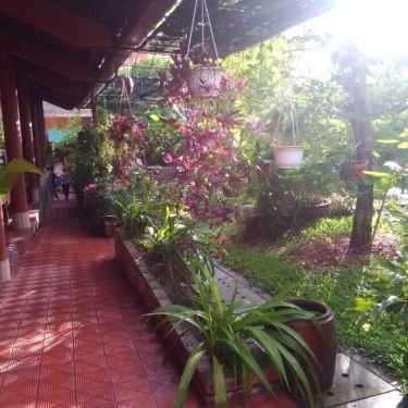 Tổng hợp- Cafe Tịnh Trúc Gia Tea House