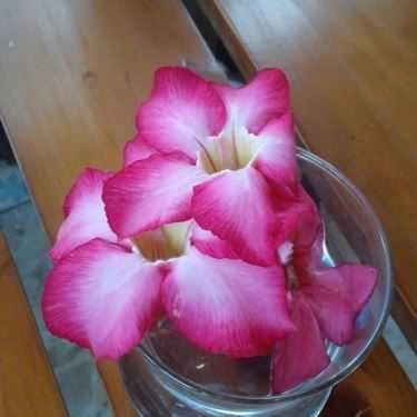 Tổng hợp- Tôi Cafe - Trần Quang Khải