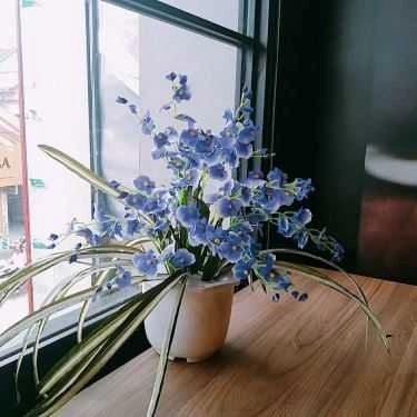 Tổng hợp- Cafe Trà Sữa Bobapop - Bà Triệu