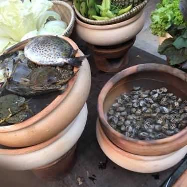Tổng hợp- Nhà Hàng Tree Restaurant - BBQ & Seafood