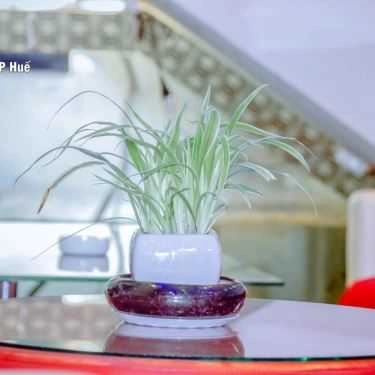 Tổng hợp- Tybi Cafe