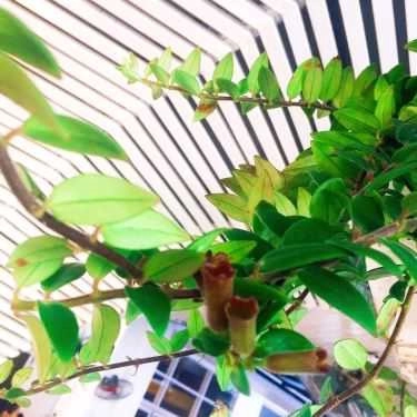 Tổng hợp- Windows Cafe