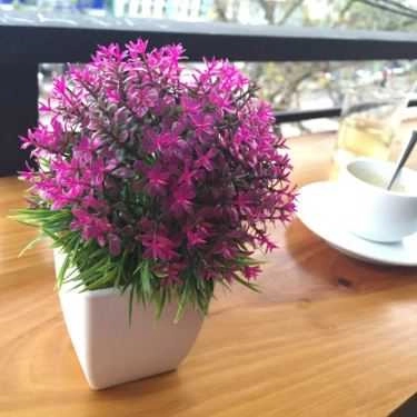 Tổng hợp- Xưởng Cafe