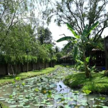 Tổng hợp- Nhà Hàng MeKong Rest Stop - Tiền Giang
