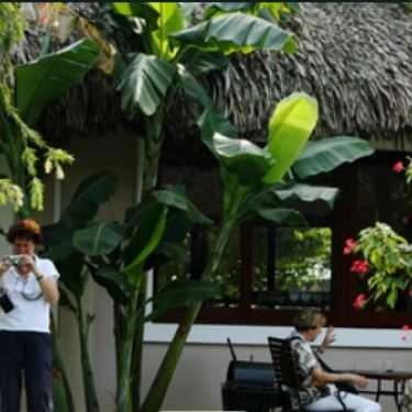 Tổng hợp- Nhà Hàng MeKong Rest Stop - Tiền Giang