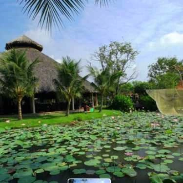 Tổng hợp- Nhà Hàng MeKong Rest Stop - Tiền Giang