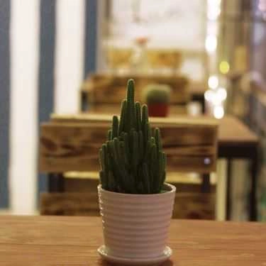 Tổng hợp- Biwee's Gelato - Bakery, Tea & Coffee