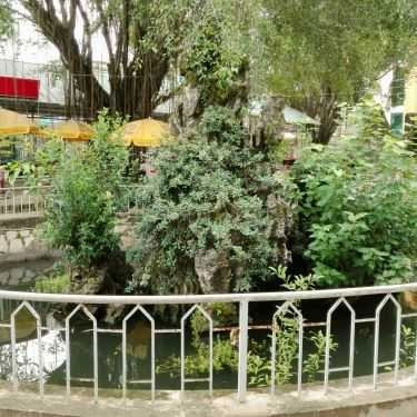 Không gian- Hoa Sữa Cafe