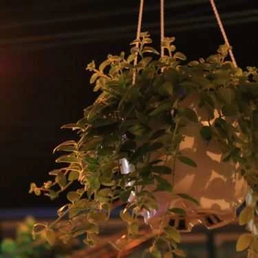 Tổng hợp- Rạch Gầm Cà Phê