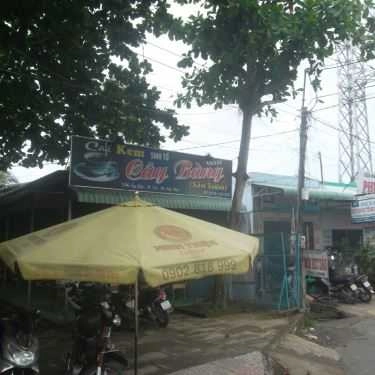 Tổng hợp- Cây Bàng - Cafe, Kem & Sinh Tố