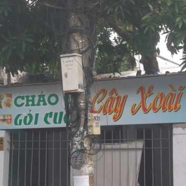 Tổng hợp- Quán Ăn Cây Xoài - Cháo Cá & Gỏi Cuốn