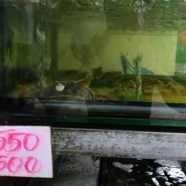 Tổng hợp- Quán Ăn Hải Sản Hoàng Thành - Tết Mậu Thân