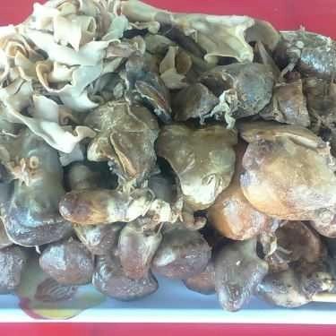 Tổng hợp- Quán Ăn Cô Nga - Bánh Canh Bột Xắt