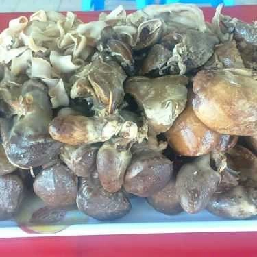 Tổng hợp- Quán Ăn Cô Nga - Bánh Canh Bột Xắt