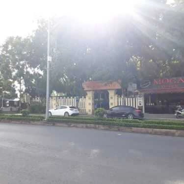 Tổng hợp- Moca Coffee - Nguyễn Thị Thập