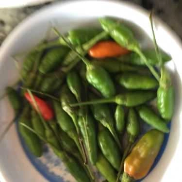 Tổng hợp- Quán Ăn Quán Cơm Chí Thành