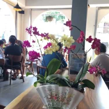 Tổng hợp- Đại Việt Bookstore & Coffee