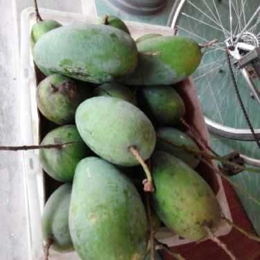 Tổng hợp- Quán Ăn Năm On - Điểm Tham Quan Sinh Thái
