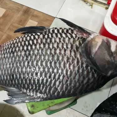 Món ăn- Quán Nhậu Đồng Xanh 1 - Lẩu Bò & Các Món Nhậu