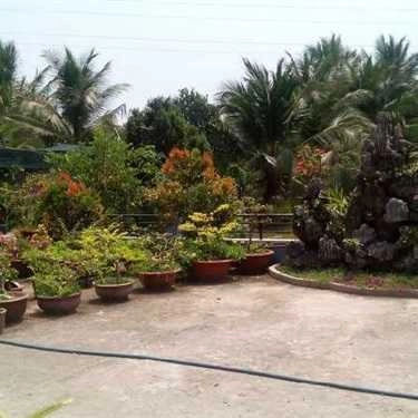 Tổng hợp- Quán Ăn Gà Ta Phương Nam