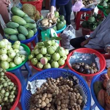 Tổng hợp- Quán Ăn Hồng Vân - Trạm Dừng Lò Bánh Dừa