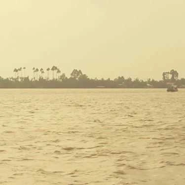 Tổng hợp- Nhà Hàng Lạc Hồng