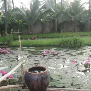 Tổng hợp- Nhà Hàng MeKong Rest Stop - Tiền Giang