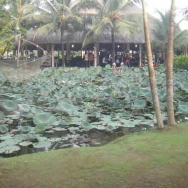 Tổng hợp- Nhà Hàng MeKong Rest Stop - Tiền Giang