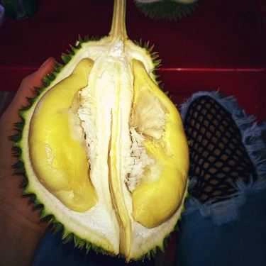 Tổng hợp- Quán Ăn Năm On - Điểm Tham Quan Sinh Thái