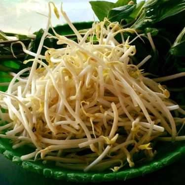 Tổng hợp- Quán Ăn Phở Quốc Tế