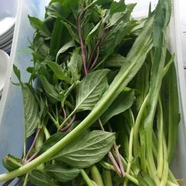 Tổng hợp- Quán Ăn Phở Tám Hồng