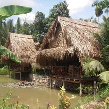 Tổng hợp- Nhà Hàng Phương Nam - Các Món Đặc Sản Tươi Sống