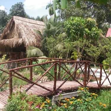 Tổng hợp- Nhà Hàng Phương Nam - Các Món Đặc Sản Tươi Sống
