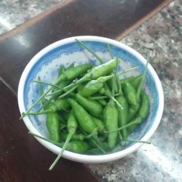 Tổng hợp- Quán Ăn Trạm Dừng Chân Phương Trang