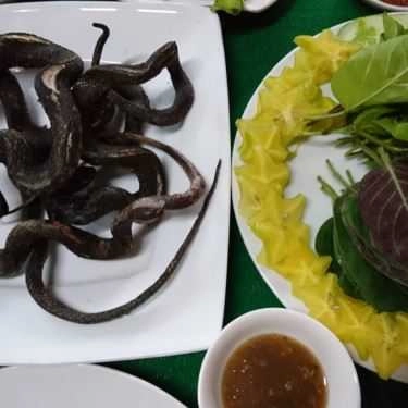Tổng hợp- Quán Ăn Sân Vườn Cẩm Tú - Tỉnh Lộ 862