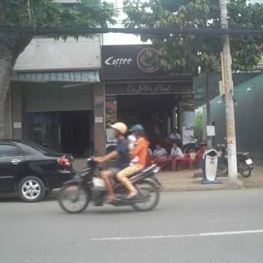 Tổng hợp- Cà Phê Hạt Coffee