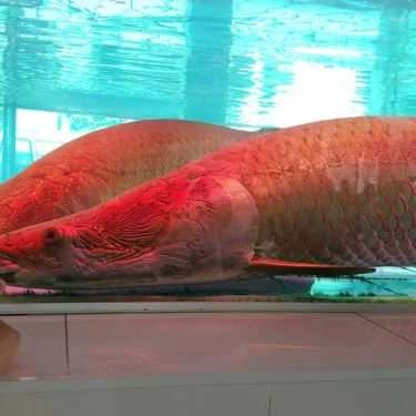 Tổng hợp- Quán Ăn Quán Cơm Minh Phát 2 - 3