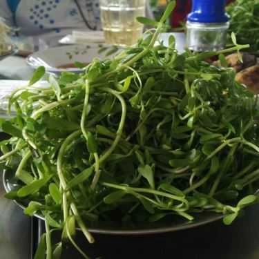 Món ăn- Quán Ăn Quán Ngon - Quốc Lộ 1A