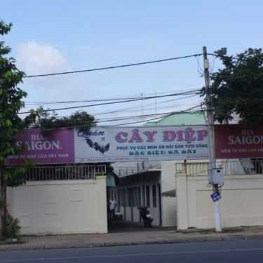 Tổng hợp- Quán Nhậu Cây Điệp - Gà Đất & Hải Sản