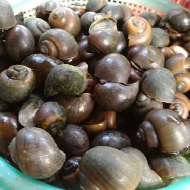 Món ăn- Quán Ăn Quán Nướng 51 - Bia & Món Nướng