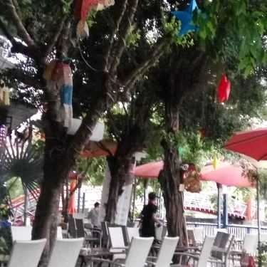 Tổng hợp- Riverside Coffee
