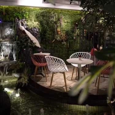 Tổng hợp- Sister Tea & Coffee