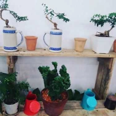 Tổng hợp- Summer Cafe & Pizza - Lý Thường Kiệt