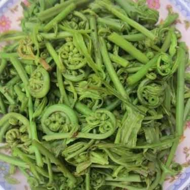 Tổng hợp- Tạ Hiền - Quán Ăn Gia Đình