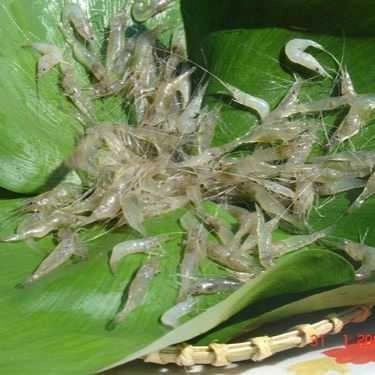Tổng hợp- Tạ Hiền - Quán Ăn Gia Đình
